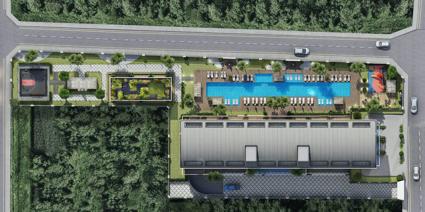 Project in Demirtas